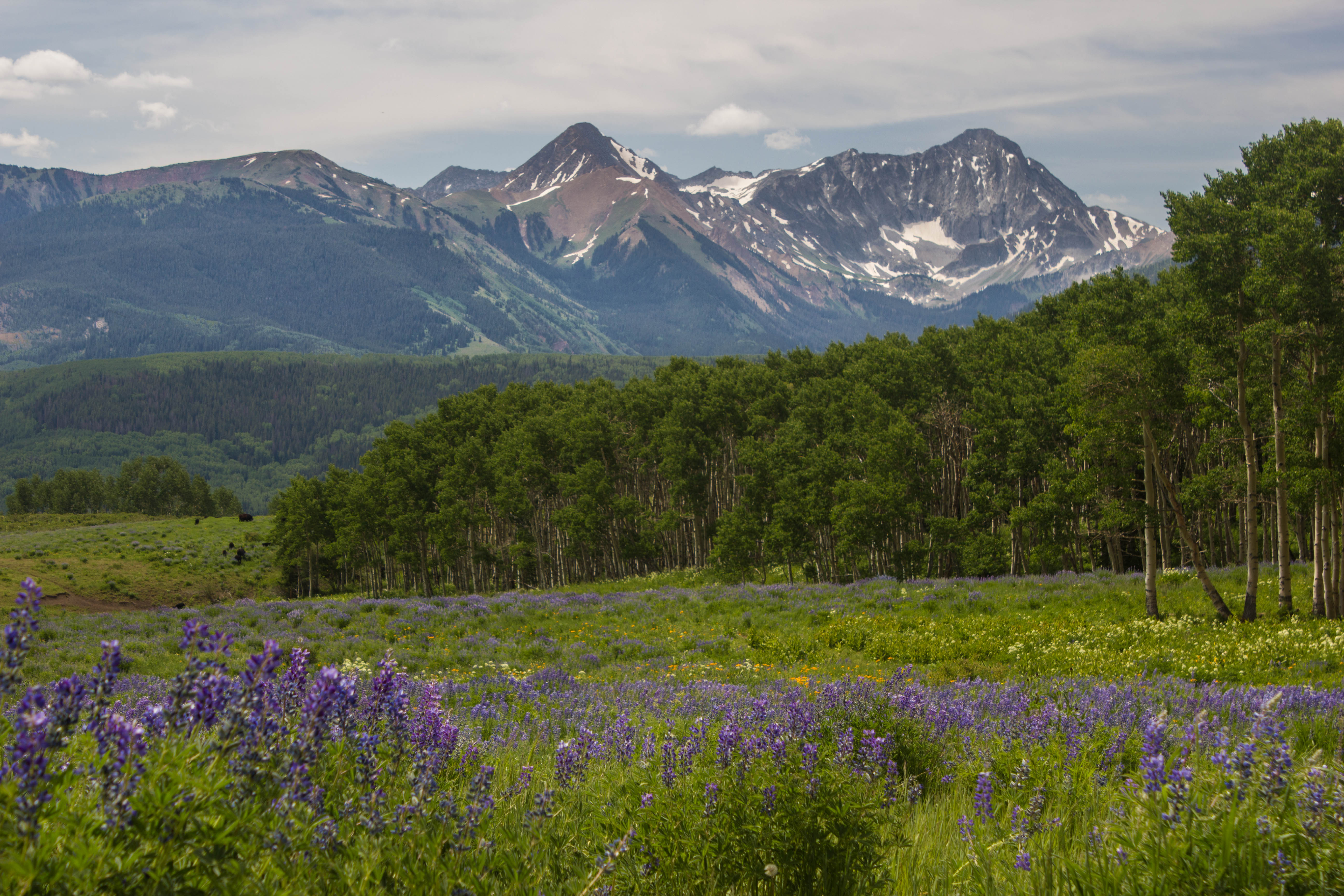 A Weekend In Carbondale Colorado