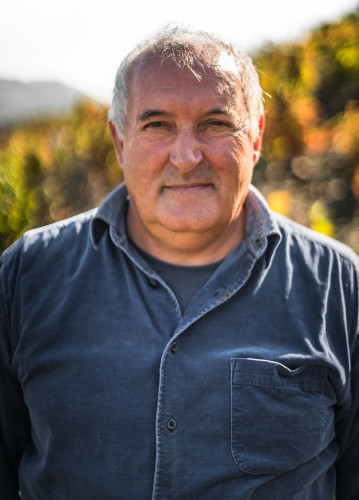 Grape Picking, Wine Making, Douro River Valley, Portugal