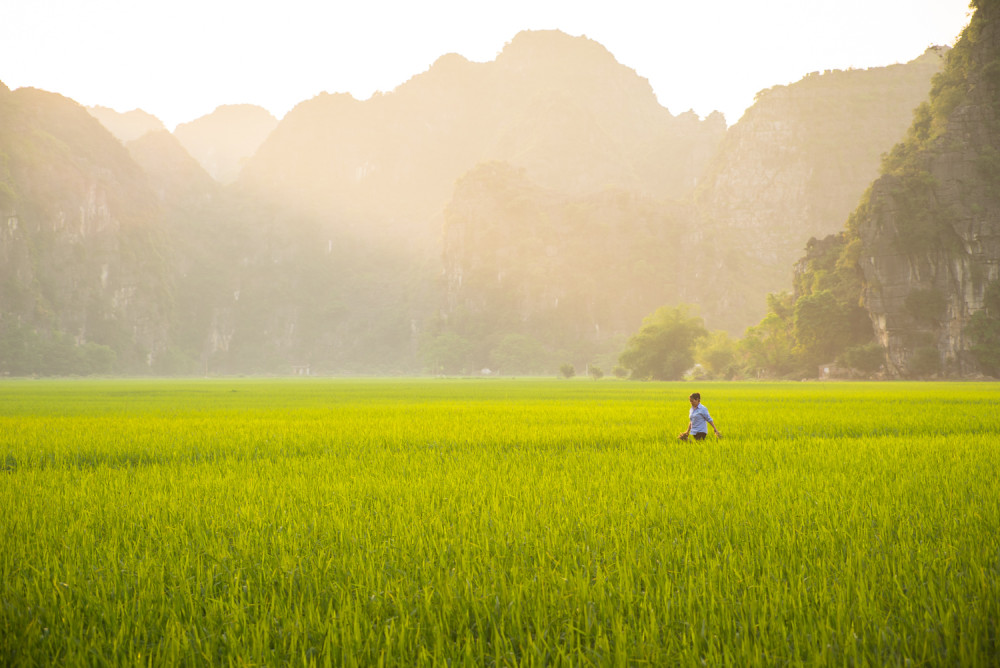 Travel, Southeast Asia, Vietnam